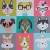 Pet Bowls