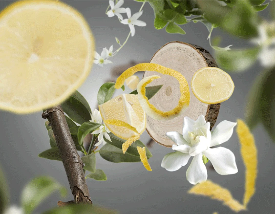 květinovo-citrusova vune