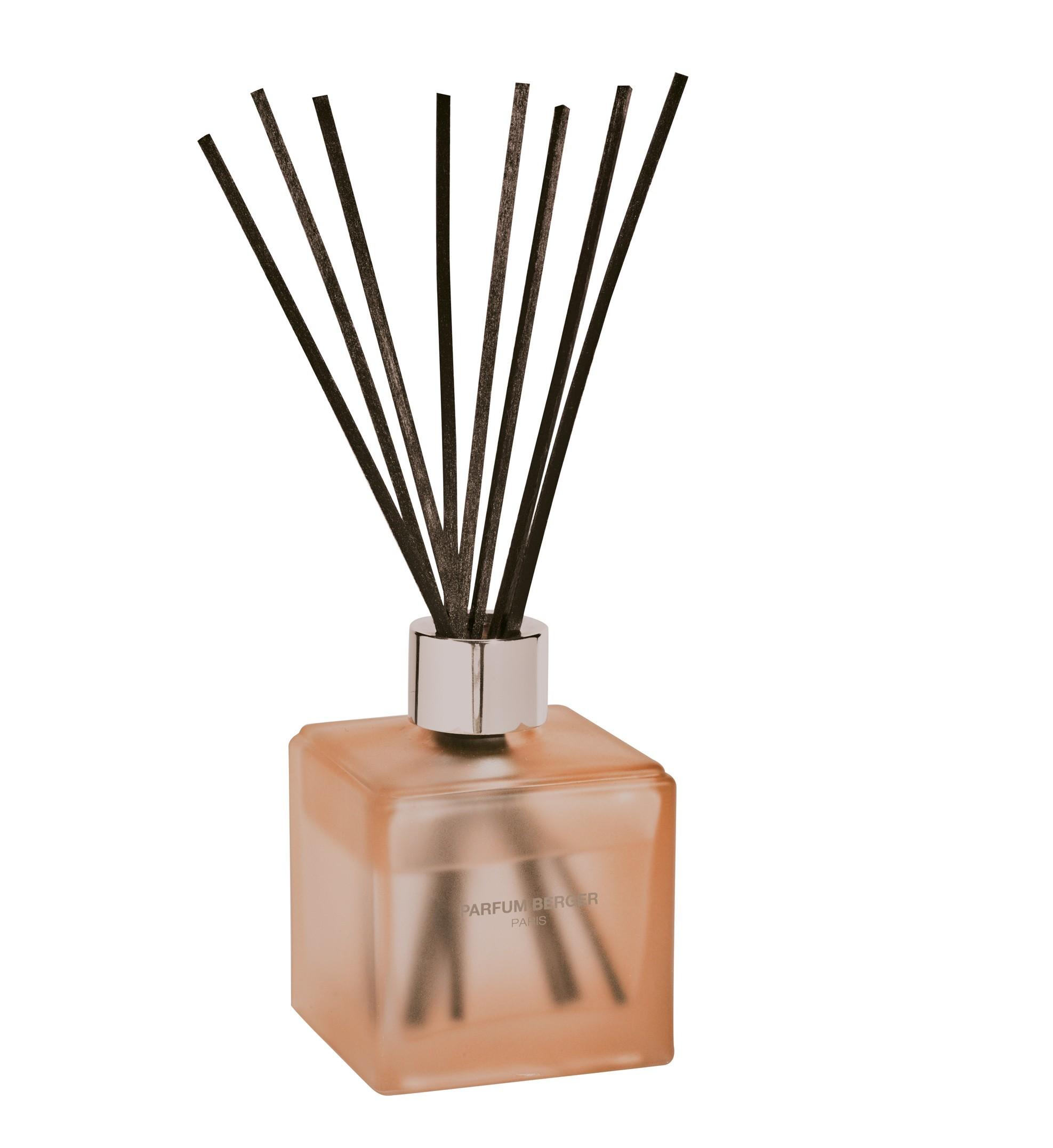 BERGER Antiodour N°2 zvířata difuzér s náplní kostka 125ml