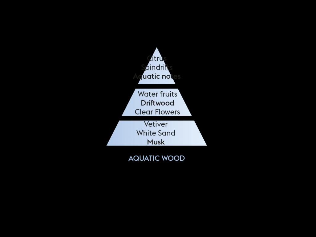 BERGER Aquatic wood/Vůně moře a dřeva náplň do difuzéru 0,2l (EOL)