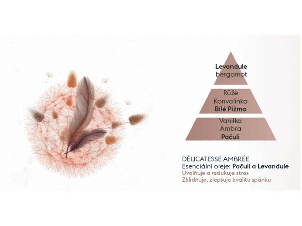 BERGER Aroma Dream Delicate Amber/Jemná Ambra náplň do difuzéru 0,2l