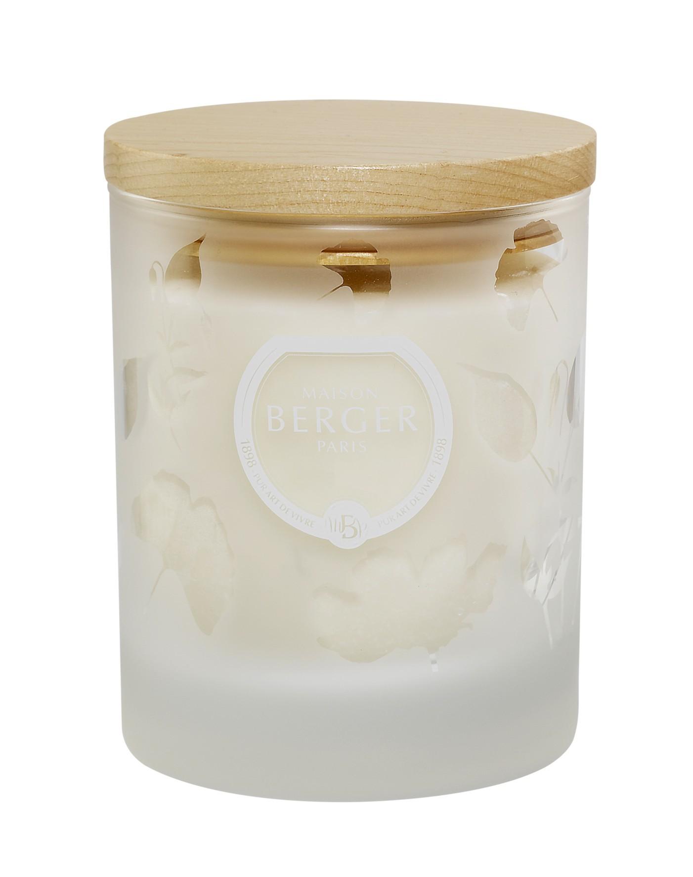 BERGER Aroma Focus Aromatic Leaves/Aromatické listí svíčka 180g