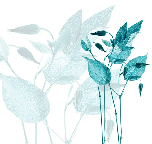 aroma happy svěžest vody vyrez