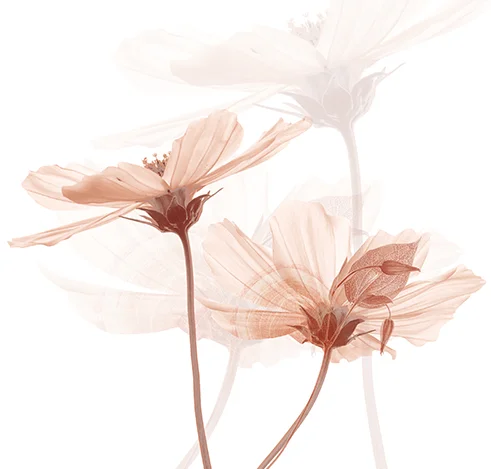 aroma relax sladky orient