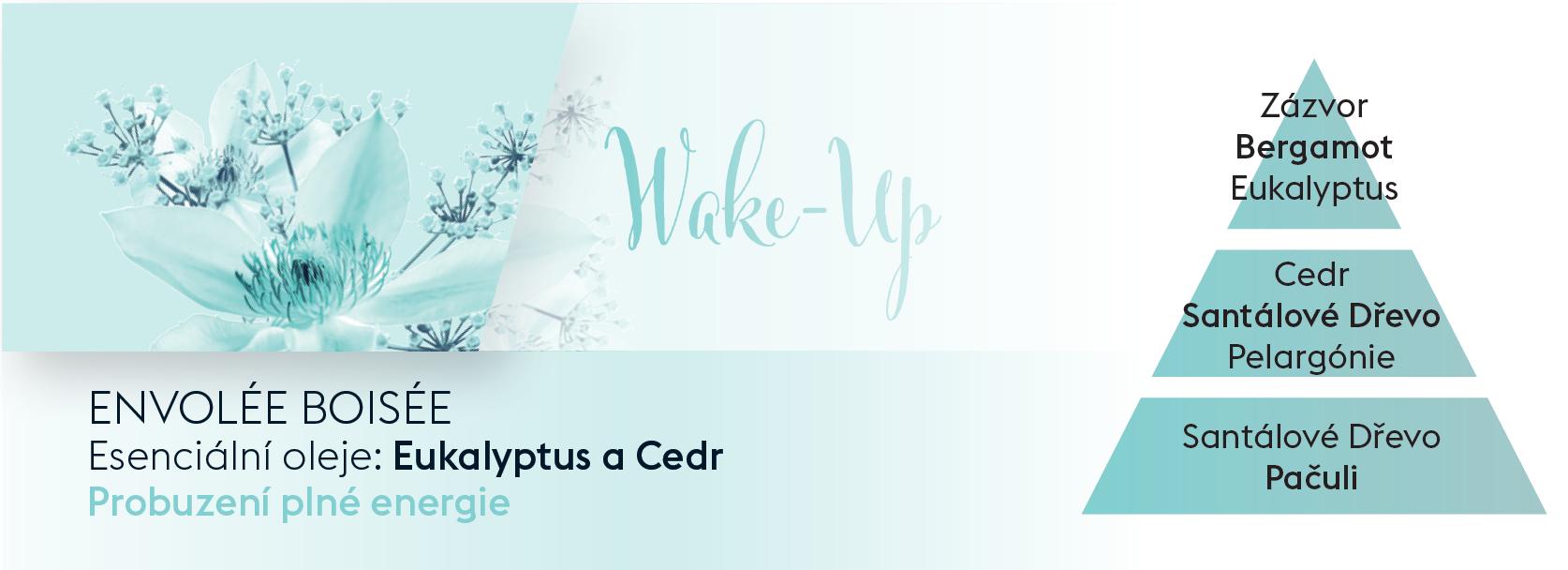 BERGER Aroma Wake Up Woody Breeze/Lesní vánek náplň do difuzéru 0,2l(EOL)