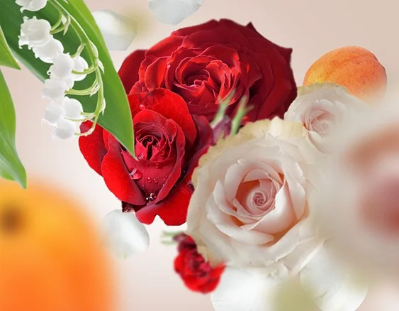 115306 cerveny samet