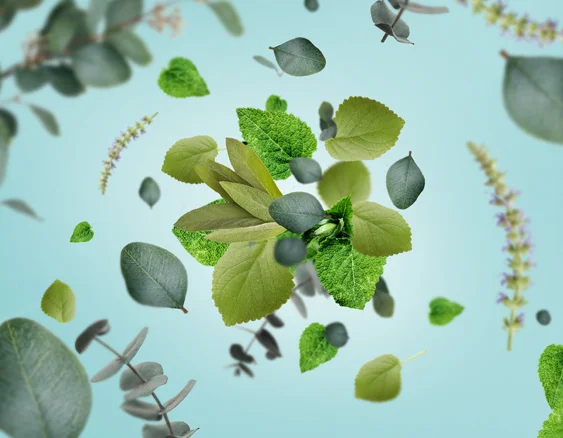 115090_nekonecna-svezest