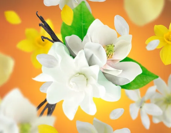 115363 božské slunce