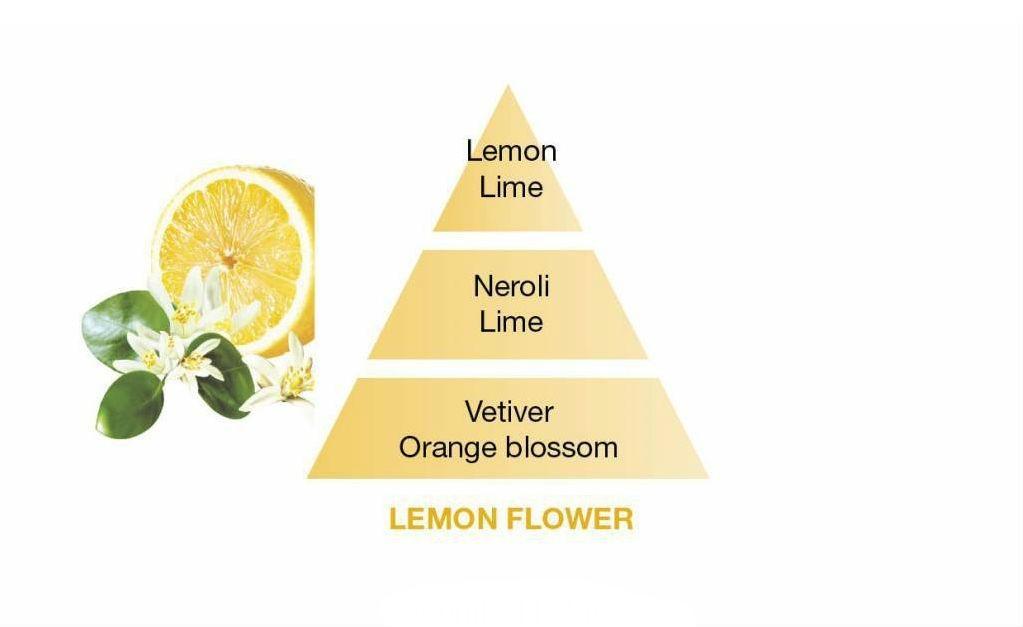 BERGER CAR 2 náhr. náplně Lemon flower/Citrónový květ (EOL)