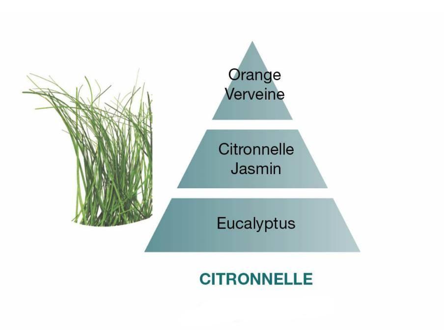 Svíčka Proti komárům – Citronella, 180 g