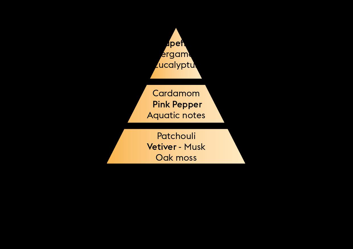 BERGER Citrus Breeze / Citrusový vánek náplň do lamp 0,5l (EOL)