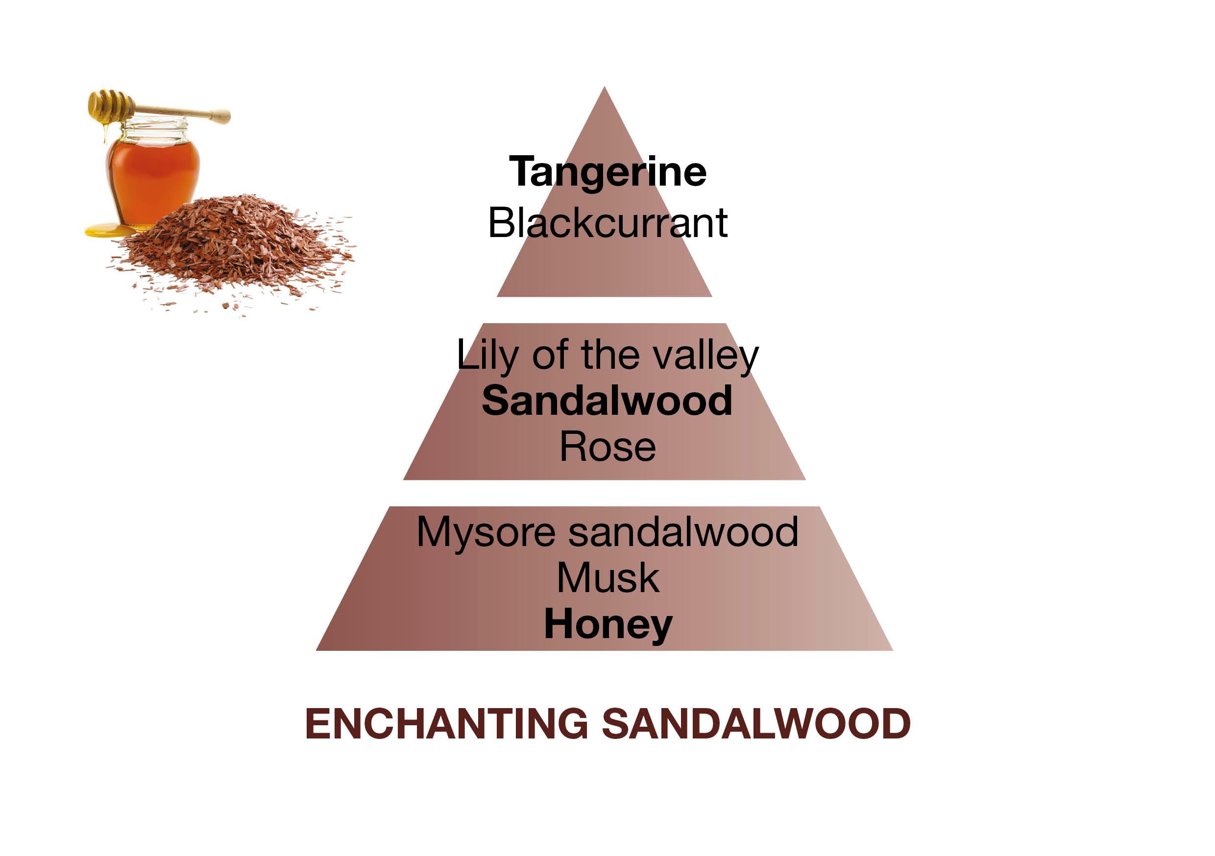 BERGER Enchanting Sandalwood / Okouzlující santalové dřevo náplň do lamp 0,5l