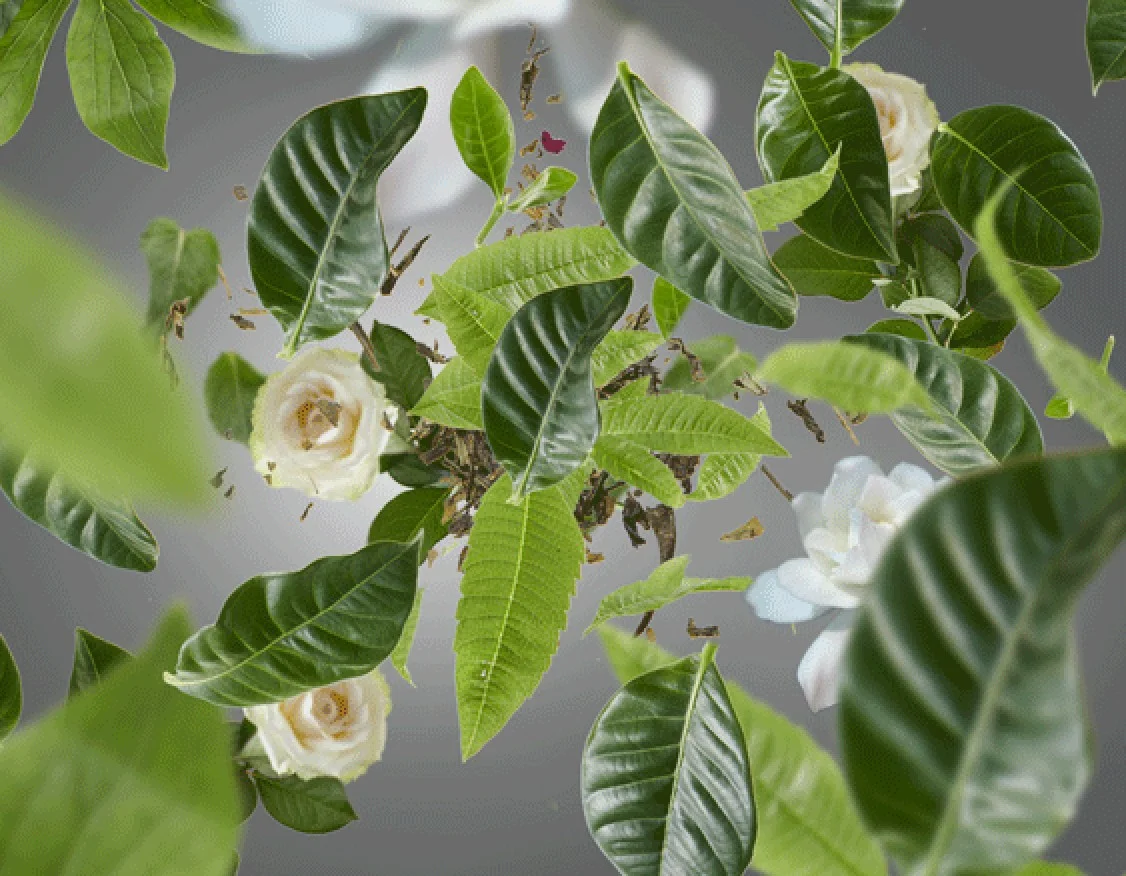 koupelna kvetinova vune