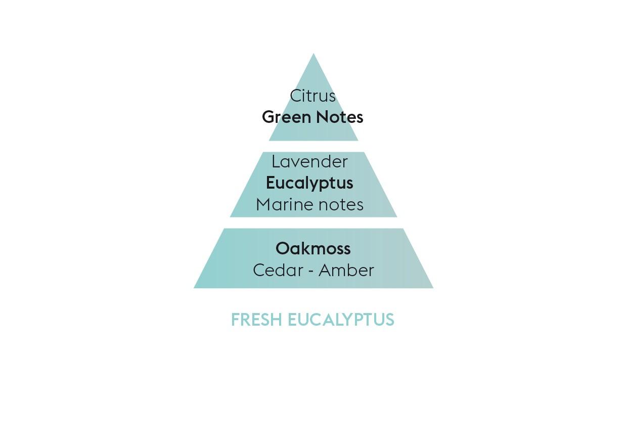 BERGER Fresh Eucalyptus/Čerstvý eukalyptus náplň do lamp 0,5l