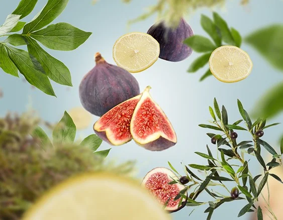 115120 rozkvetla riviera