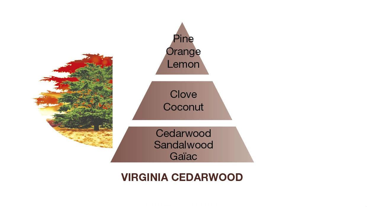 BERGER Graphique svíčka Libanonský cedr 210g (EOL)