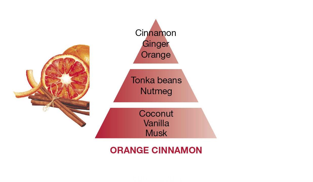 BERGER Graphique svíčka Pomeranč a skořice 210g (EOL)