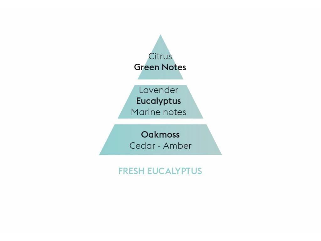 Náplně do Difuzéru Rajské liči a Čerstvý eukalyptus, 200 ml + 2× vonné tyčinky