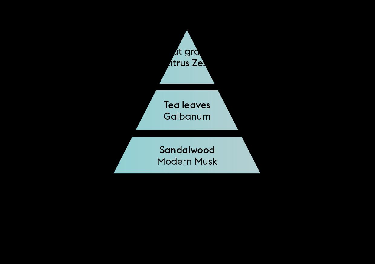 Náplň do katalytické lampy Císařský zelený čaj, 1000 ml