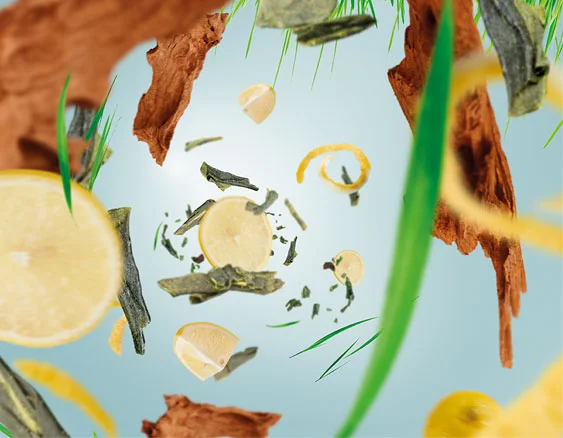 115098_cisarsky zeleny caj_dotextu