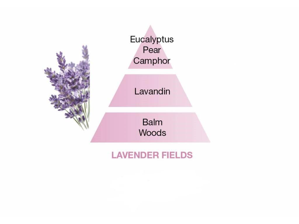 BERGER June lampa růžová Lavender Fields/Levandulové pole náplň 0,25l (EOL)