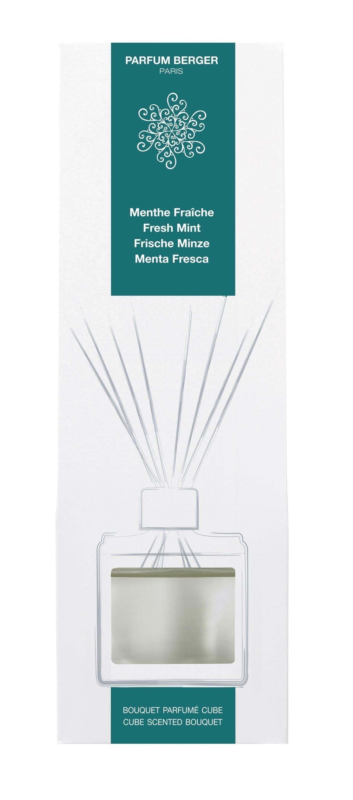BERGER Menthe fraîche / Máta z Rijádu difuzér kostka 125ml (EOL)