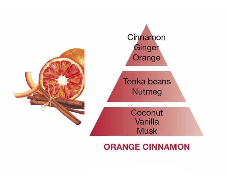 BERGER Orange Cinnamon/Pomeranč a skořice náplň do difuzéru 0,4l (EOL)