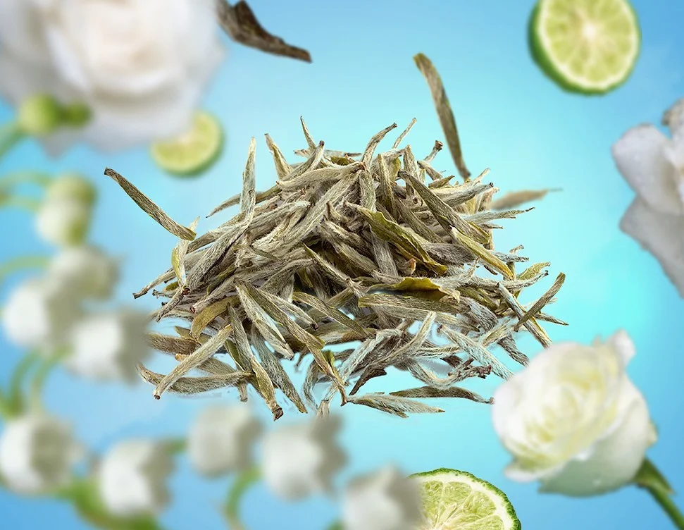 cisty bily caj dotextu