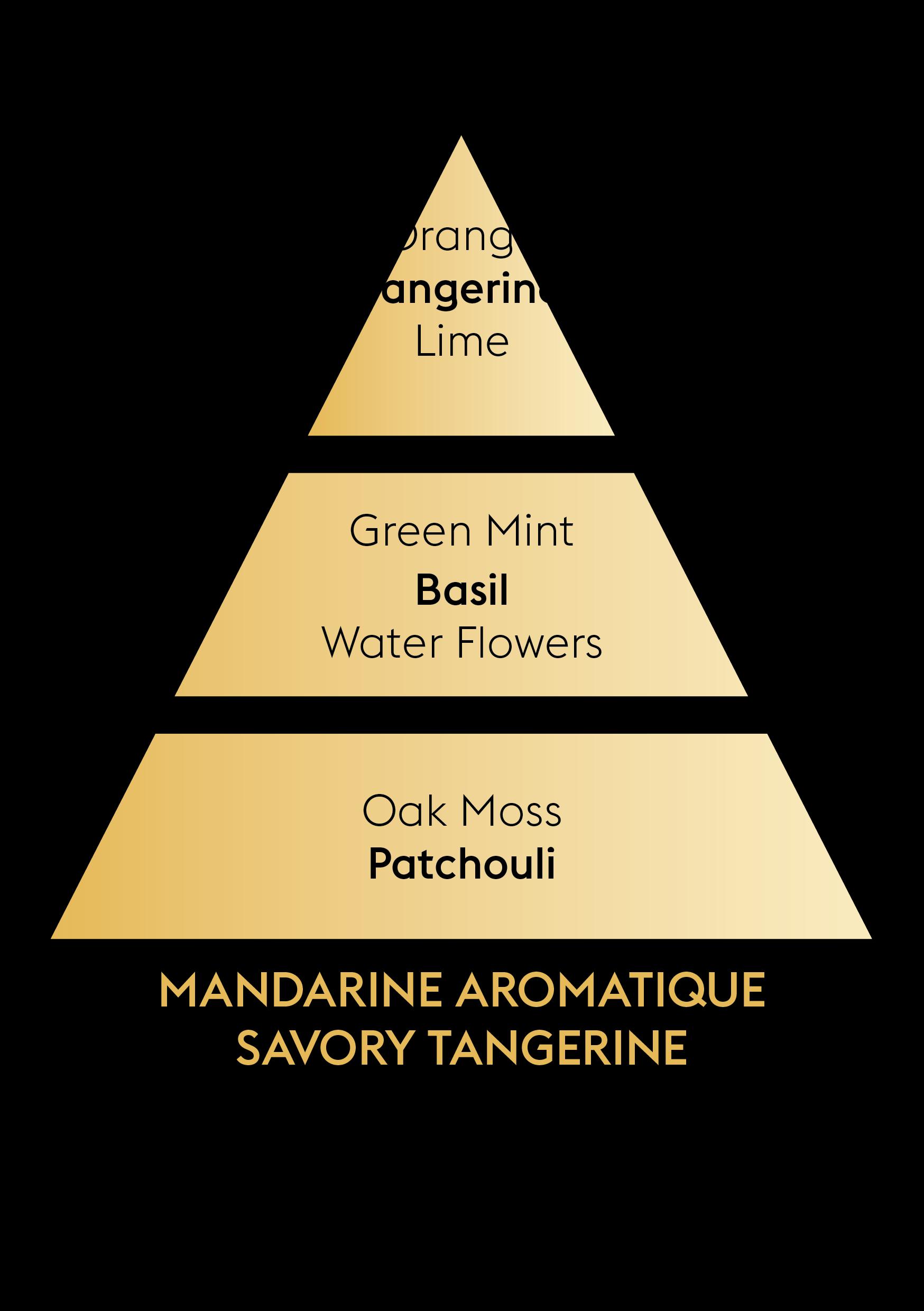 BERGER Savory Tangerine/Pikantní mandarinka náplň do lamp 0,5l (EOL)