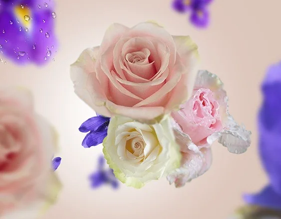 115065 chic paříž