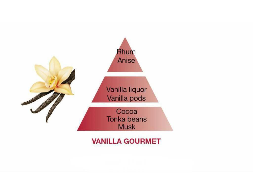 BERGER Vanilla Gourmet/Gurmánská vanilka difuzér s náplní kostka 0,125l  (EOL)