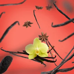 115017 vanilla gourmet