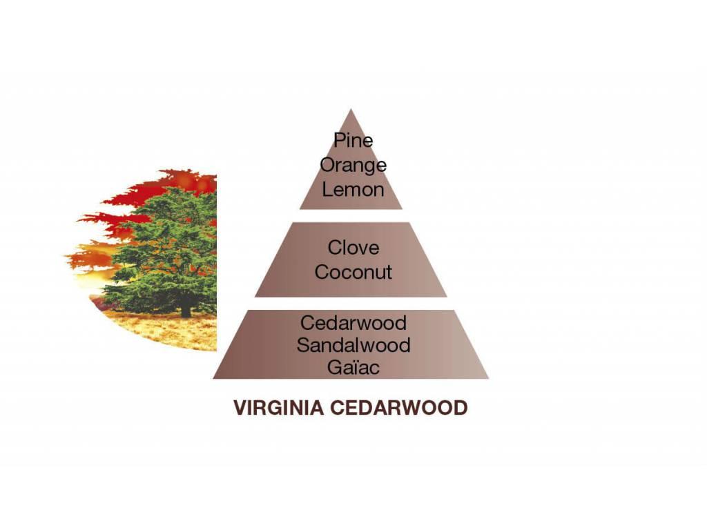 Aroma Difuzér Cube, Libanonský cedr 125 ml