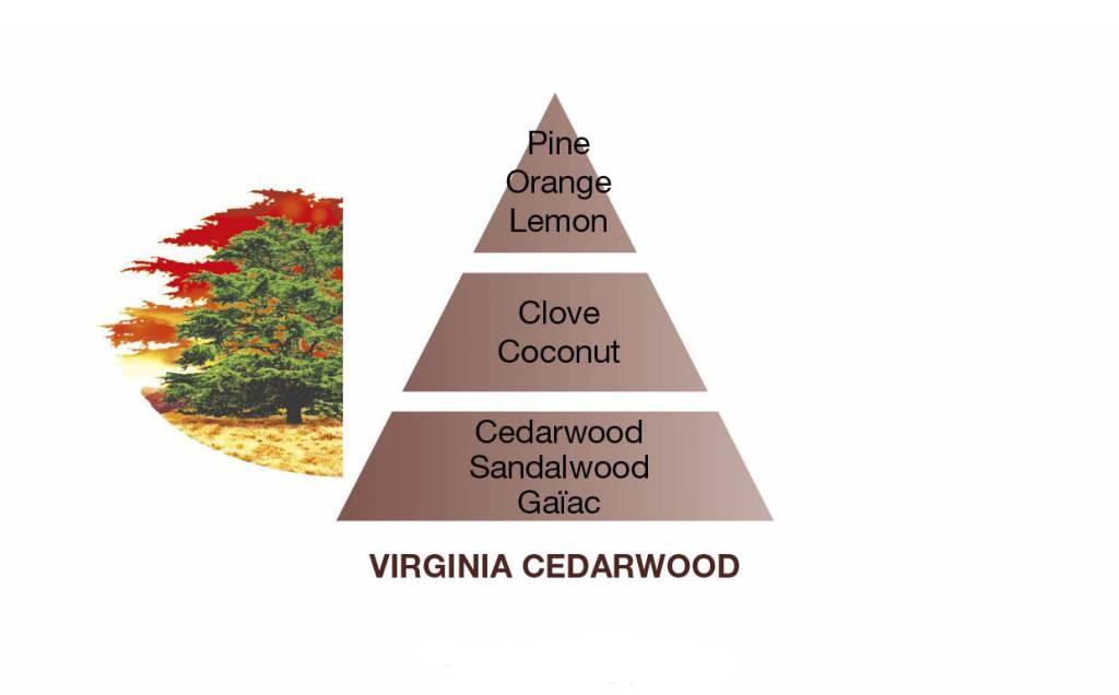 BERGER Virginia Cedarwood/Libanonský cedr náplň do difuzéru 0,2l