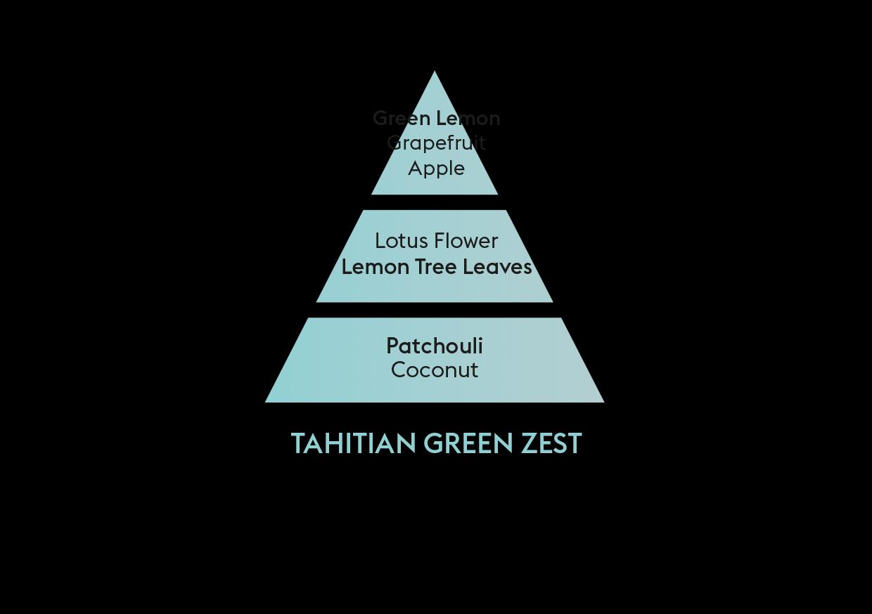 BERGER Zeste vert de Tahiti / Tahitská limetka difuzér s náplní kostka 125ml (EOL)