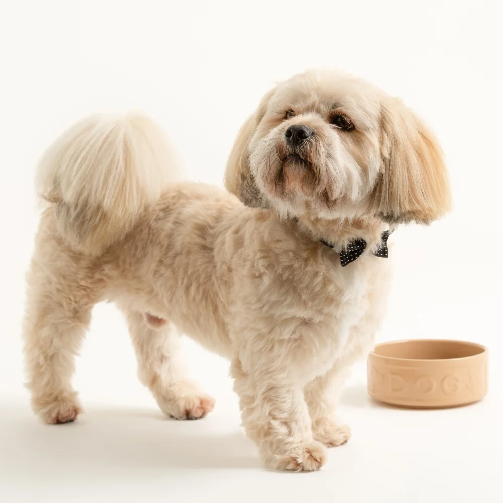 2030.306 Mason_Cash_Original_ Dog Bowl_15cm)