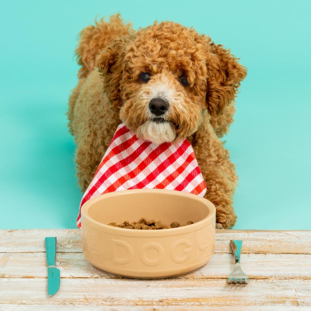 Miska pro psy Original, nápis Dog, 700 ml, béžová