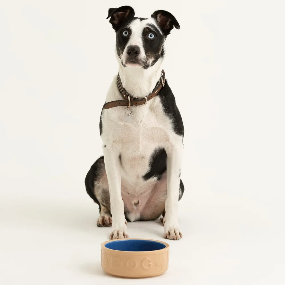 2030.316 Cane & Blue 18cm Dog Bowl Ross 1 square (čtverec malý)