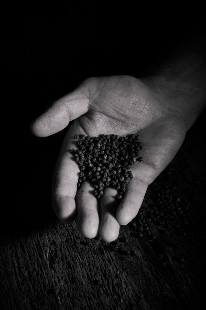 Zanzibar červený pepř Kampot, 20 g