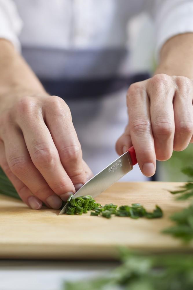 Univerzální nůž na ovoce a zeleninu Essentiels N°312, 10 cm, zelený