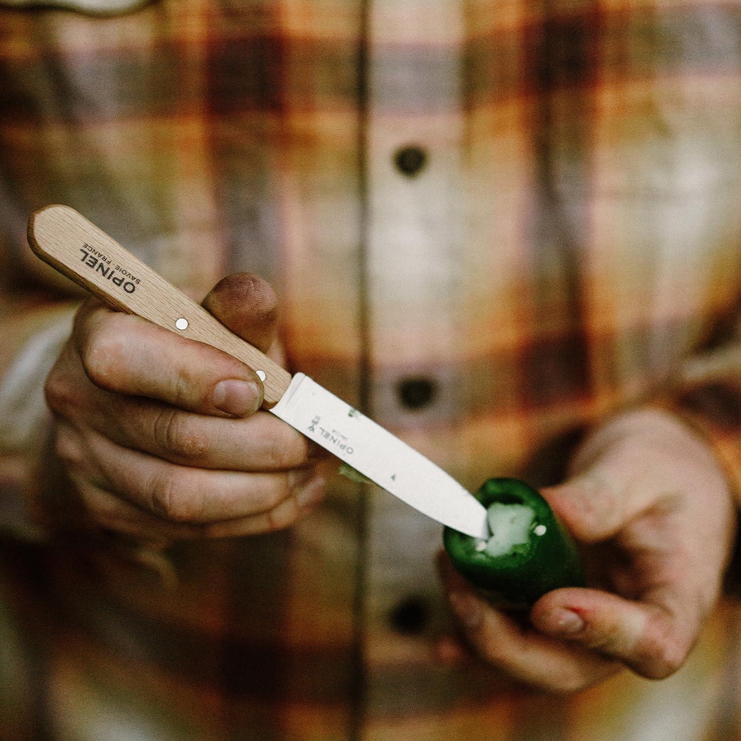 Sada kuchyňských nožů VRI N°102 Carbon, 10 cm, rukojeť buk, 2 ks