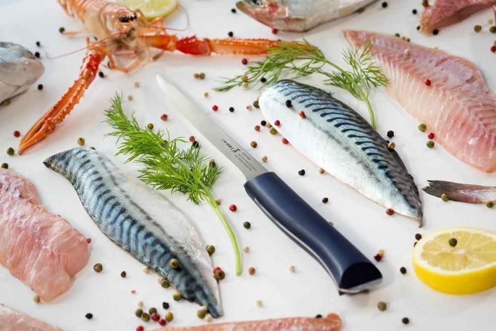 OPINEL VRI N°221 Intempora filetovací 18 cm