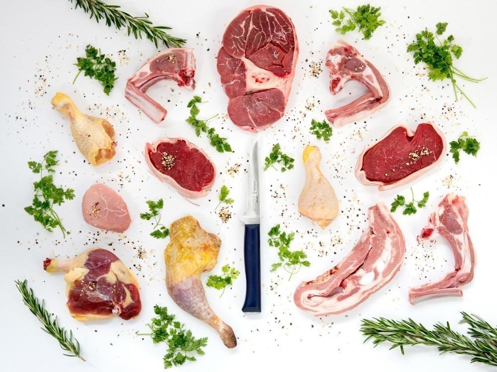 OPINEL VRI N°222 Intempora vykosťovací 13 cm