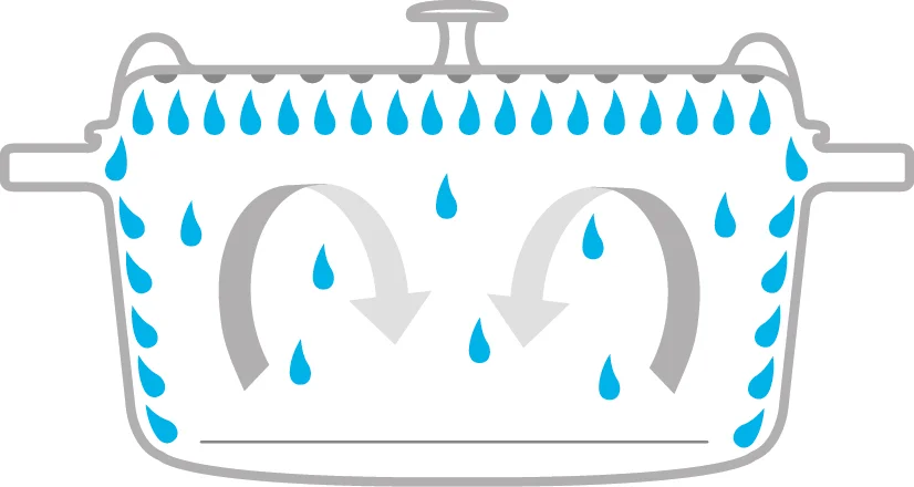 11831_50602_aroma_rain_cocotte