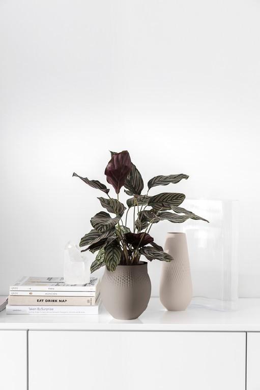 V&B Ma.Collier be. Váza Carre vysoká