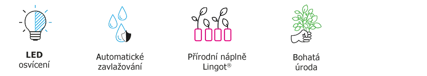 kvetinac-pikto-2-botaneo