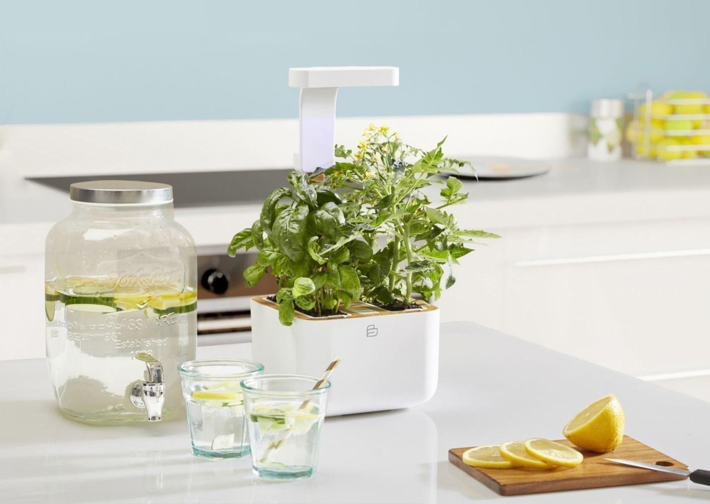 Véritable Botaneo Eylo stolní zahrádka malá s náplní 2ks bílá (EOL)