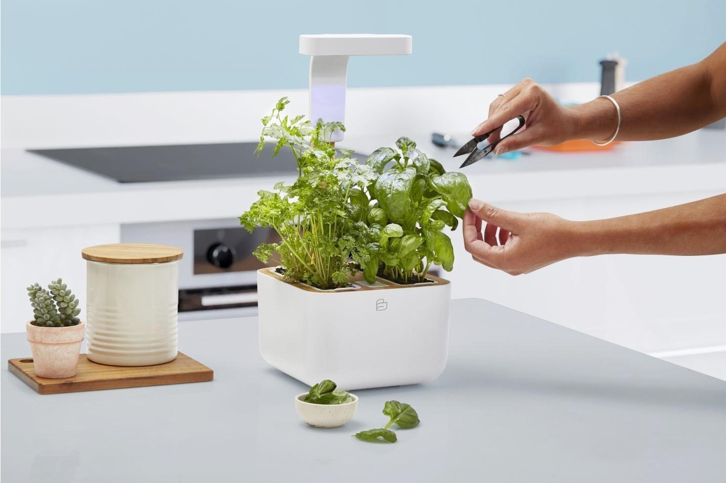 Véritable Botaneo Eylo stolní zahrádka malá s náplní 2ks bílá (EOL)