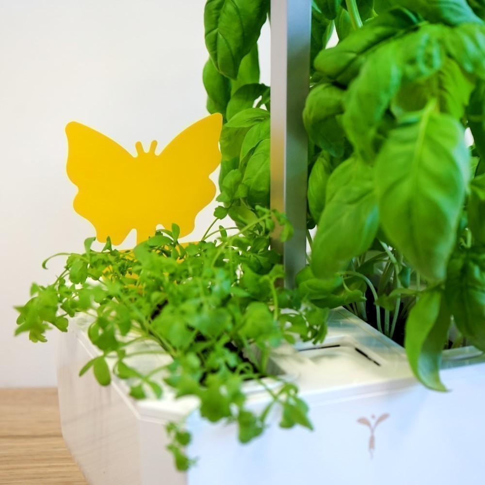 Veritable lepivá past na hmyz (8ks) (EOL)