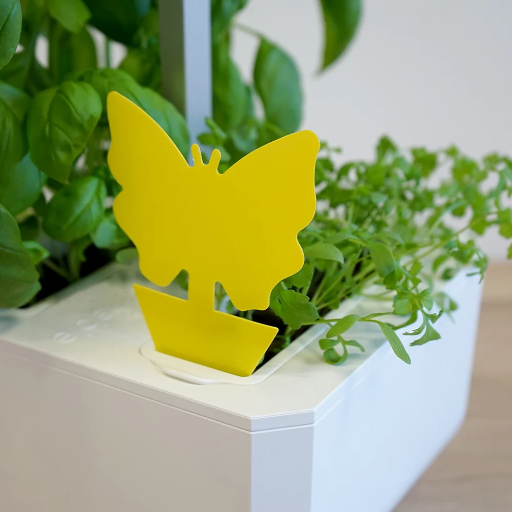 Véritable Sticky Trap